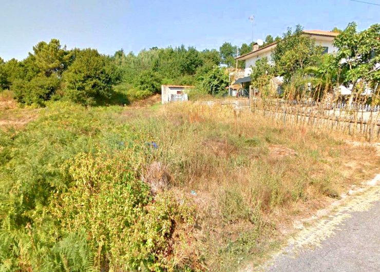 lote - Cópia