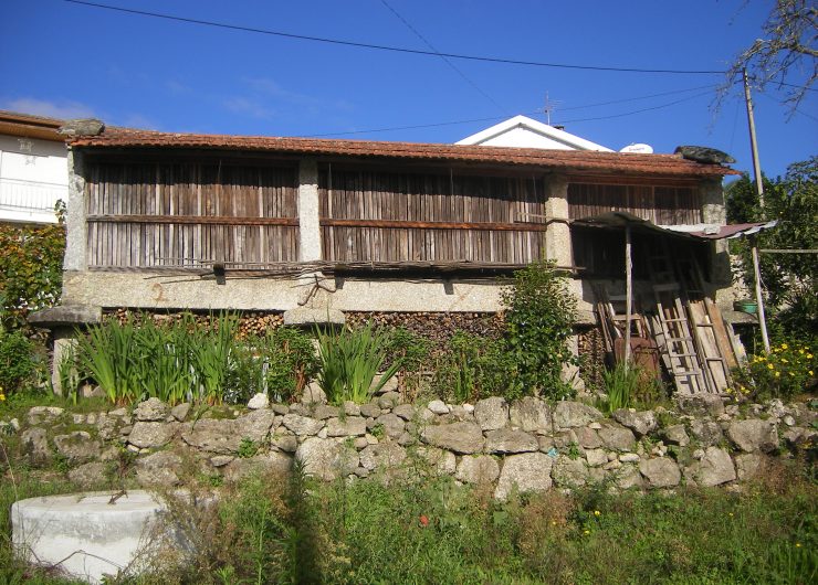 IMGP0464